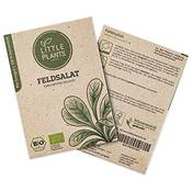 Little Plants Feldsalat-Samen