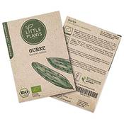 Little Plants Gurke Marketmore