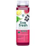 Livefresh Kombucha Ritual
