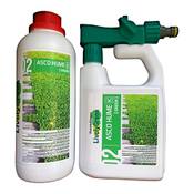 LivelyGreen 3183804 Vergleich