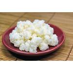 Living Probiotics Milchkefir