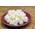 Living Probiotics Milchkefir