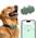 Locogps L2