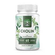 Lorinmill Cholin Vergleich