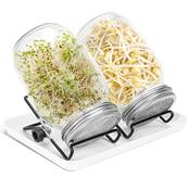 Lospitch Sprossengläser Vergleich