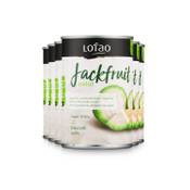 Lotao Jackfruit Natur Vergleich