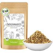 Biokontor Löwenzahnwurzeltee