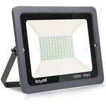 Loyal LED-Außenstrahler