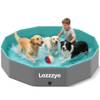 Lozzzyo Hundepool