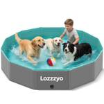 Lozzzyo Hundepool