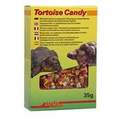 Lucky Reptile TOC-35