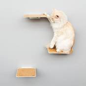 Lucybalu Katzen-Kletterwand