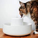 Lucybalu Trevi Trinkbrunnen