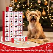 Lxwinner Adventskalender