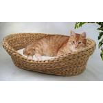 Lycce Katzenbett