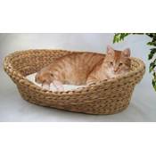 Lycce Katzenbett