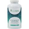 Lymeherbs Andrographis paniculata