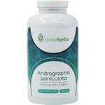 Lymeherbs Andrographis paniculata
