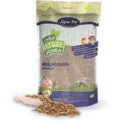 Lyra Pet  5 kg Mehlwürmer