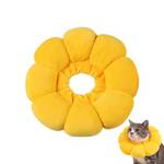 Lyramis Halskrause Katze