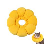 Lyramis Halskrause Katze
