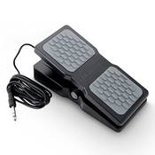 M-Audio EX-P