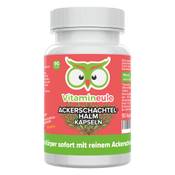 Mach Dich Wach Zinnkraut-Kapseln