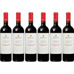 Mack & Schühle AG Zonin Montepulciano d' Abruzzo