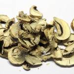 Madavanilla Champignons
