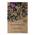 Magic Garden Seeds Bio Brunnenkresse