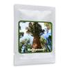 Magic of Nature Riesen-Mammutbaum-Samen
