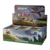 Magic The Gathering Bloomburrow