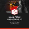 Magix Sound Forge Audio Studio 17
