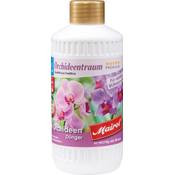 Mairol Orchideentraum