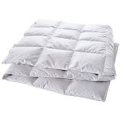 Manteuffel 804832 Vergleich