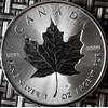 Maple Leaf Silber Silbermünze Leaf