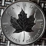 Maple Leaf Silber Silbermünze Leaf