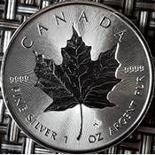 Maple Leaf Silber Silbermünze Leaf Vergleich