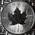 Maple Leaf Silber Silbermünze Leaf