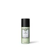 Maria Nila Dry Shampoo Vergleich