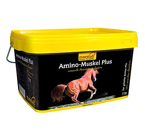 Marstall Premium-Pferdefutter „Turnier“ (20 Kg) – Mit 40 % Hafer, Schnelle Energie & Hochverdaulich