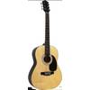 Martin Smith W-100