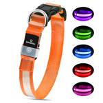 Masbrill Leuchthalsband