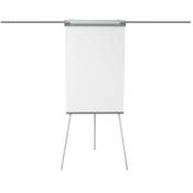 Master of Boards Flipchart Coyote