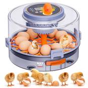 Masterfun ‎FDQ1OE-EU