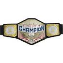 Mattel WWE Championship Title