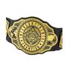 Mattel WWE Championship Title Belt HNY45