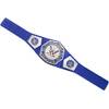 Mattel WWE Cruiserweight Championship Gürtel 	FMV05