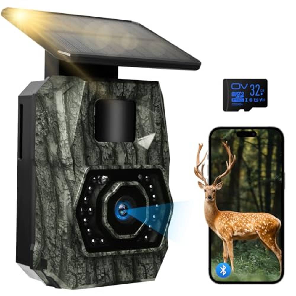 Wildkamera mit WLAN: Top 10 Test & Vergleich
