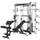 Maxxus Multipresse Smith Power Pro